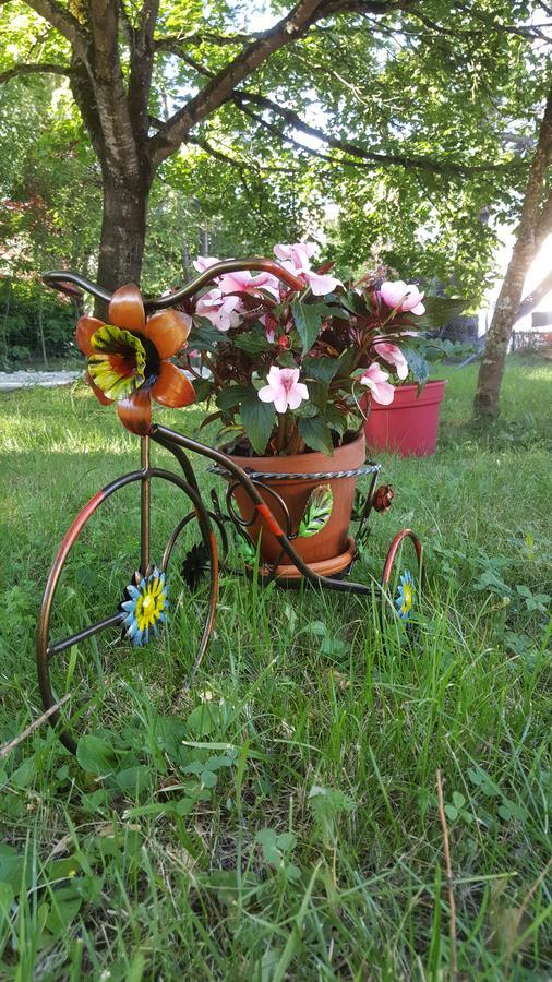 Le Saule Rêveur Die Exterior foto